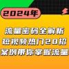 流量密码全解析：短视频热门20招，实战案例带你掌握流量本质