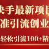 2024年抖音快手最新项目拆解视频引流创业粉，一天轻松引流精准创业粉100+