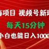 蓝海项目视频号新玩法 每天15分钟 小白也能日入1000+