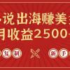 小说出海赚美金，稿费月收益2500+美金，仅需chatgpt粘贴复制，新手也能玩转