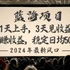 2024最新风口项目，躺赚收益，稳定日均收益500+