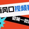 2024新风口视频赛道 做第一批吃螃蟹的人 10分钟一条原创视频 小白无脑操作1