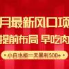 28.4月最新风口项目，提前布局早吃肉，小白也能一天暴利500+