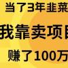 当了3年韭菜，我靠卖项目赚了100万