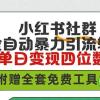 小红薯社群全自动无脑暴力截流，日引500+精准创业粉，单日稳入四位数附...