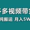 【蓝海项目】拼多多视频带货 纯搬运一个月搞了5w佣金，小白也能操作 送工具