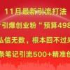 小红书11月最新图片打粉，一张图片引爆创业粉，“预算4980带我飞”，单条引流500+精准创业粉