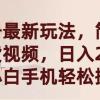 视频号最新玩法，简单搬运带货视频，日入2000+，新手小白手机轻松操作