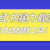 小红书截流引流大法，简单无脑粗暴，日引20-30个高质量创业粉（送自动加群软件）