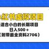 小红书虚拟项目，适合小白的长期项目，日入500＋（附带最全资料270G）