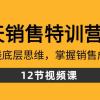 28天·销售特训营5期：了解赚钱底层思维，掌握销售成交密码（12节课）