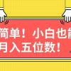 超简单图文项目！小白也能月入五位数