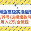 2024闲鱼高级实操运营课程：开店/养号/选择爆款/引流/月入2万/全流程