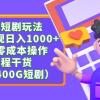 最新短剧玩法，暴力变现日入1000+私域零成本操作，全程干货（附1400G短剧）