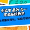 小红书 品效 合一实战系统教学：小红书爆发增长，实现月销百万 (59节)