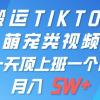 一键搬运TIKTOK萌宠类视频 一部手机即可操作 所有平台均可发布 轻松月入5W+