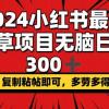 2024小红书最强种草项目，无脑日入300+，复制粘帖即可，多劳多得