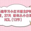 0基础学习小红书博主IP特训营，37天 教你从小白到KOL（13节）