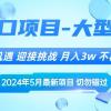 2024年5月最新风口项目，抓住机遇，迎接挑战，月入3w+，不再是梦