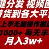 2024年 一键分发带货图文视频  简单易上手 无脑赚收益 每天半小时日入1...