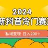 2024抖音最新冷门赛道，私域变现轻松日入200＋，作品制作简单，流量爆炸