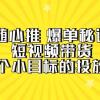 随心推 爆单秘诀，短视频带货-超1个小目标的投放心得（7节视频课）