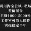 利用淘宝公域+私域差价掘金，日赚1000-5000元，工作室可放大操作，实操...