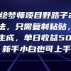 AI绘梦师项目野路子2.0玩法，只需复制粘贴，一键生成，单日收益500+，新...