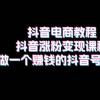 抖音电商教程：抖音涨粉变现课程：如何做一个赚钱的抖音号（18节）