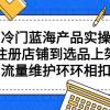 拼系冷门蓝海产品实操课程，从注册店铺到选品上架到流量维护环环相扣