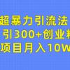 超暴力引流法，日引300+创业粉，卖项目月入10W+