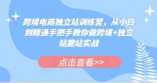 跨境电商独立站课程：从小白到精通学会做独立站全球卖货插图