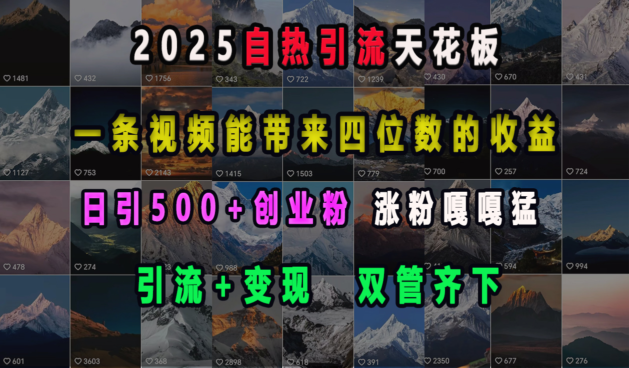 2025自热引流天花板，一条视频能带来四位数的收益，引流+变现双管齐下，日引500+创业粉，涨粉嘎嘎猛插图