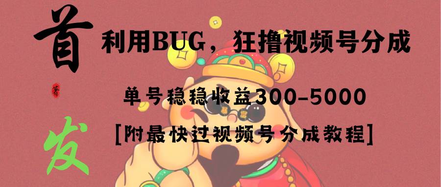 全网独家首发，视频号BUG，超短期项目，单号每日净收益300-5000！插图