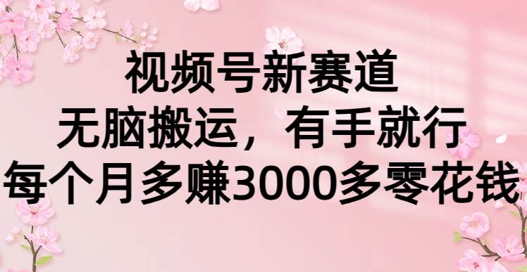 视频号新赛道，无脑搬运，有手就行，每个月多赚3000多零花钱插图