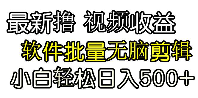 发视频撸收益，软件无脑批量剪辑，第一天发第二天就有钱插图