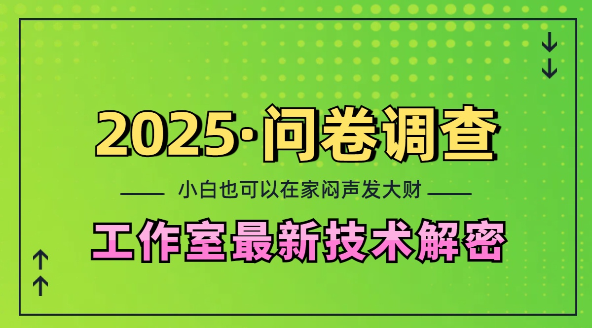 2025《问卷调查》最新工作室技术解密：一个人在家也可以闷声发大财，小白一天200+，可矩阵放大插图