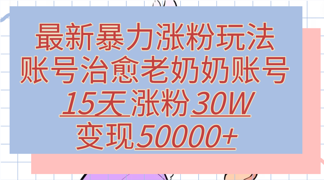 最新暴力涨粉玩法，治愈老奶奶账号，15天涨粉30W，变现50000+【揭秘】插图