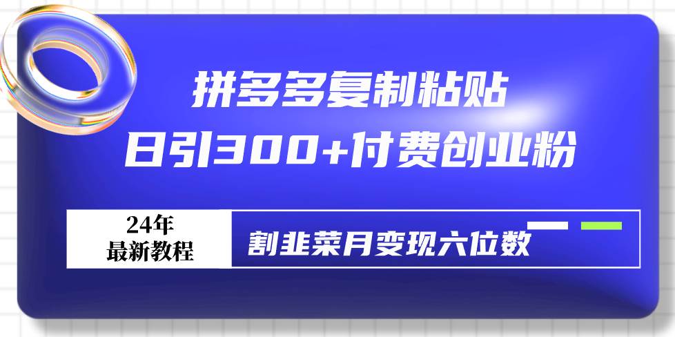 拼多多**粘贴日引300+付费创业粉，割韭菜月变现六位数最新教程！插图