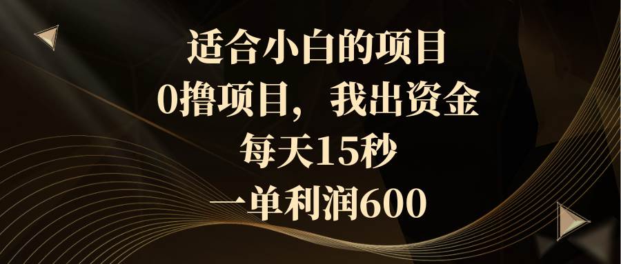 适合小白的项目，0撸项目，我出资金，每天15秒，一单利润600插图