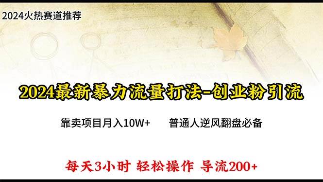 2024年最新暴力流量打法，每日导入300+，靠卖项目月入10W+插图