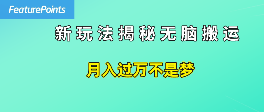 简单操作，每天50美元收入，搬运就是赚钱的秘诀！插图