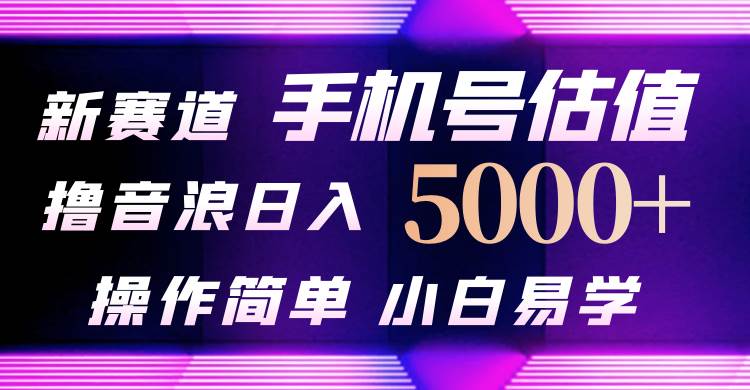 抖音不出境直播【手机号估值】最新撸音浪，日入5000+，简单易学，适合…插图