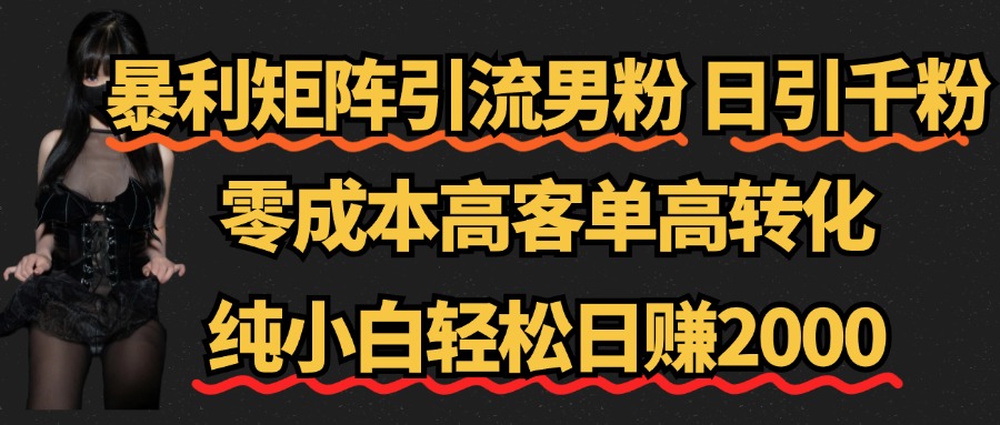 暴利矩阵引流男粉（日引千粉），零成本高客单高转化，纯小白轻松日赚2000+插图