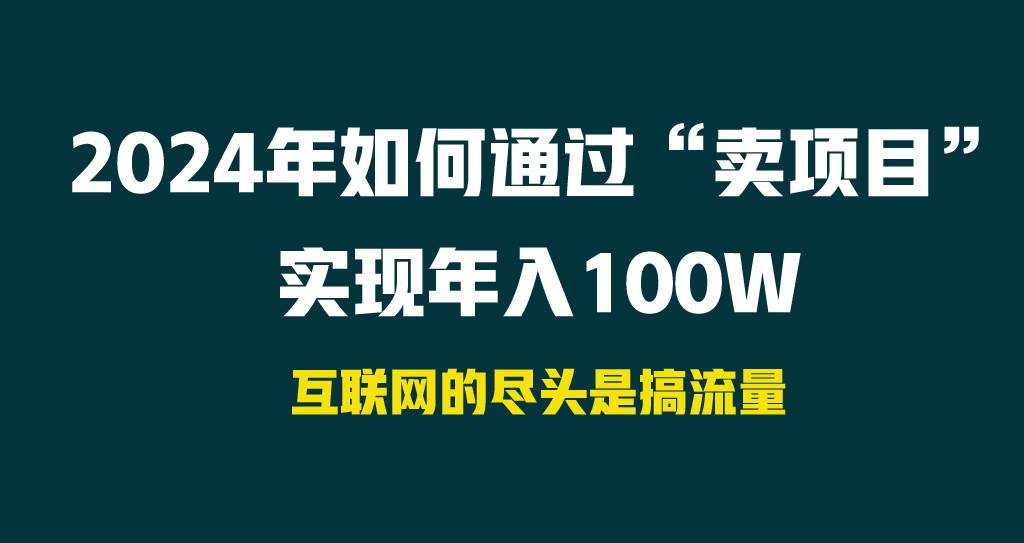 2024年如何通过“卖项目”实现年入100W插图