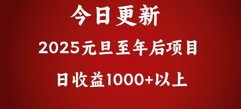 翻身项目，日收益1000+以上插图