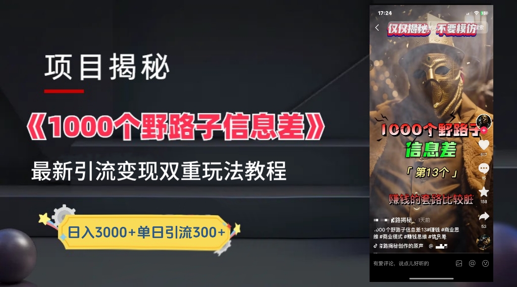 一千个野路子信息差24年最新玩法教程附带变现方法和引流的玩法具体拆解插图