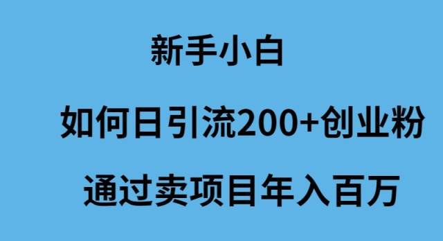 新手小白如何日引流200+创业粉通过卖项目年入百万插图