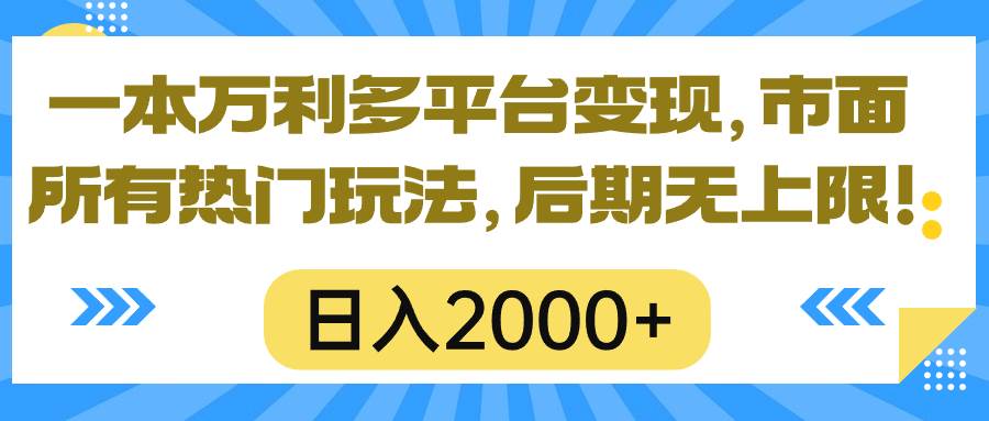 一本万利多平台变现，市面所有热门玩法，日入2000+，后期无上限！插图