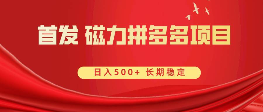 首发 磁力拼多多自撸  日入500+插图